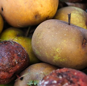 Llei espanyola contra el malbaratament alimentari