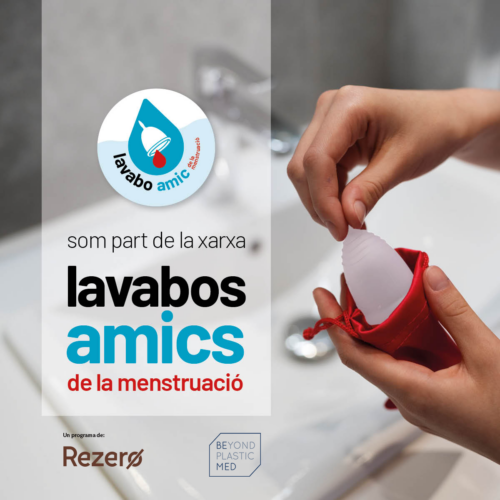 lavabos amics